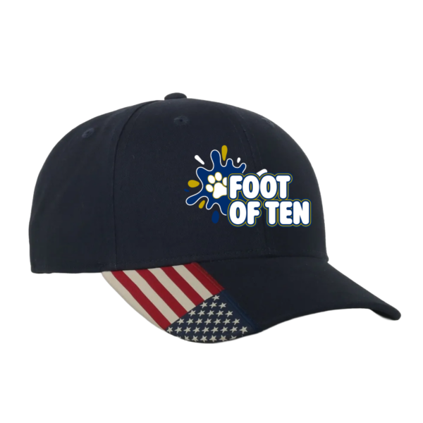 Navy USA Flag Bill Cap
