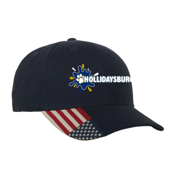 Navy USA Flag Bill Cap
